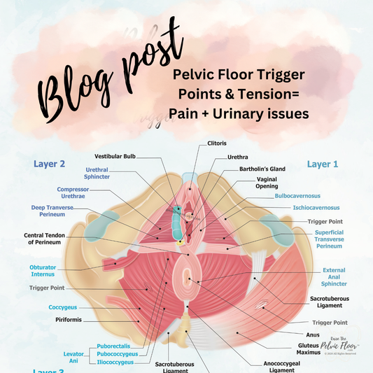 How Pelvic Floor Tension and Tight Muscles Can Lead to Pelvic Pain, Painful Sex, and Urinary Issues