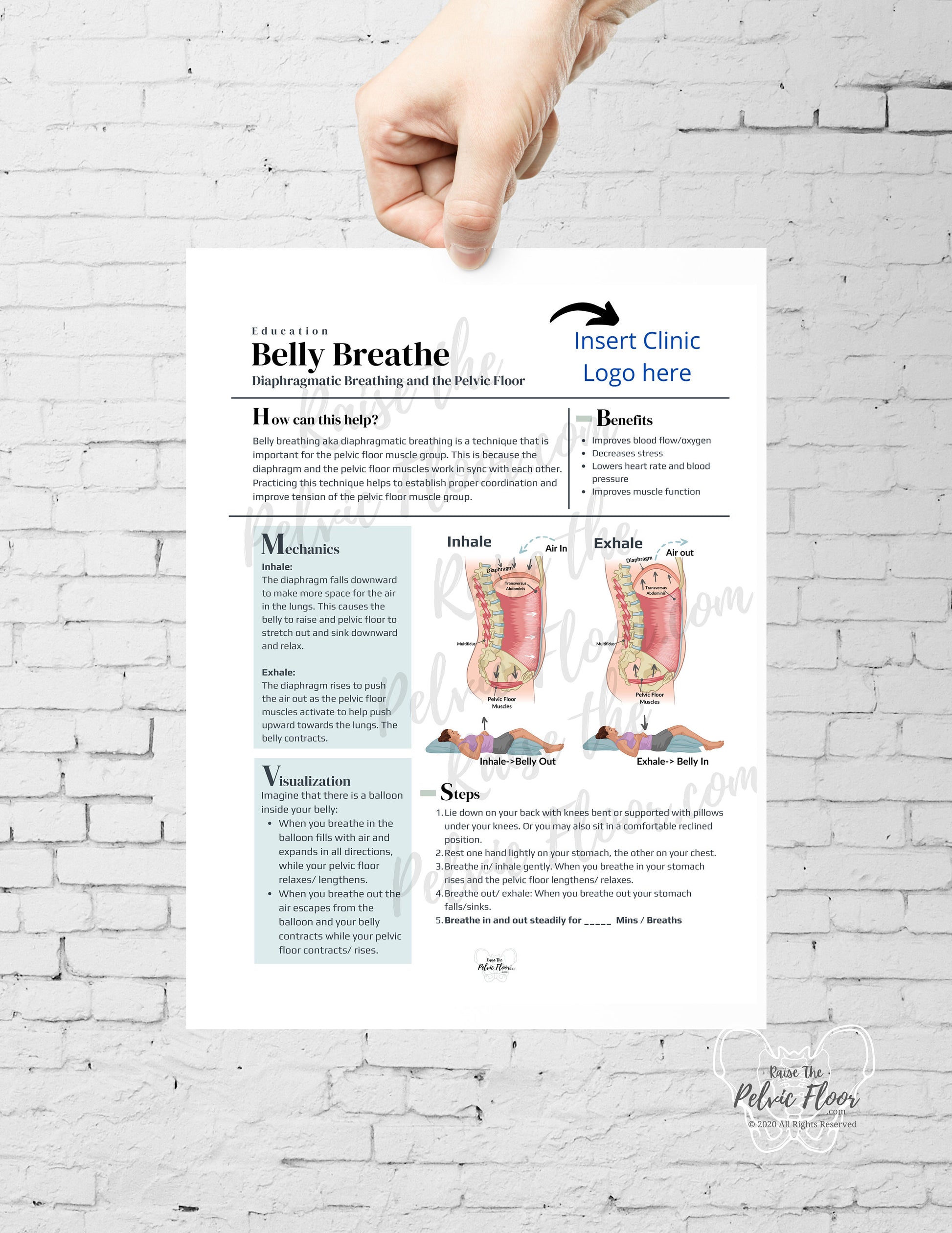 DIGITAL DOWNLOAD* Belly Breathing Steps Patient Education Handout | Diaphragmatic Breath Instructions 8.5 x11" Handout| Pelvic Floor Health