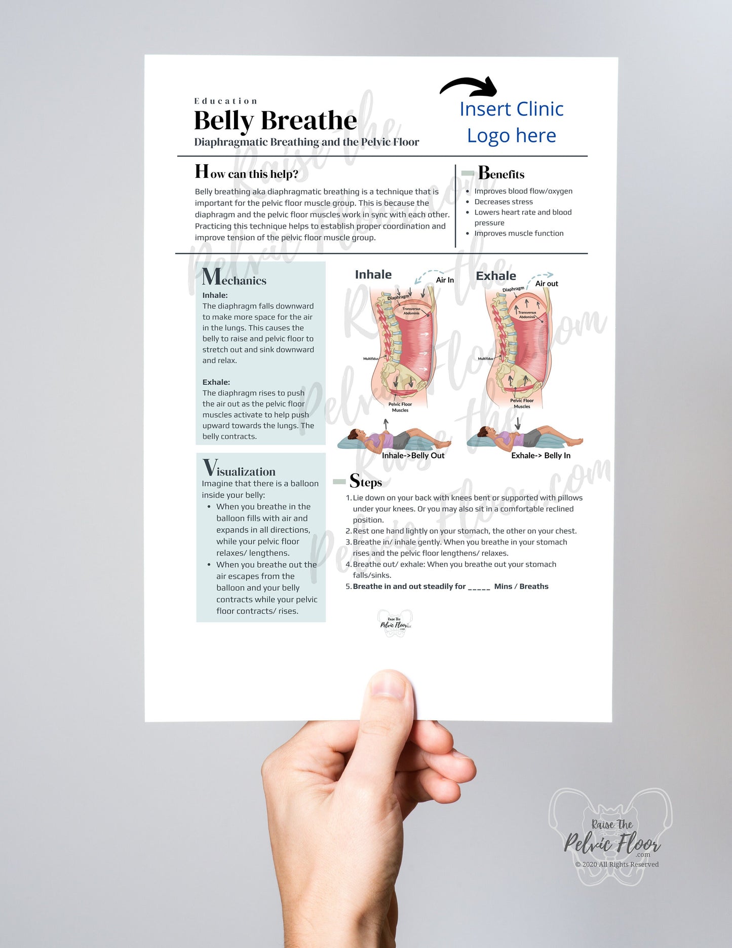 DIGITAL DOWNLOAD* Belly Breathing Steps Patient Education Handout | Diaphragmatic Breath Instructions 8.5 x11" Handout| Pelvic Floor Health