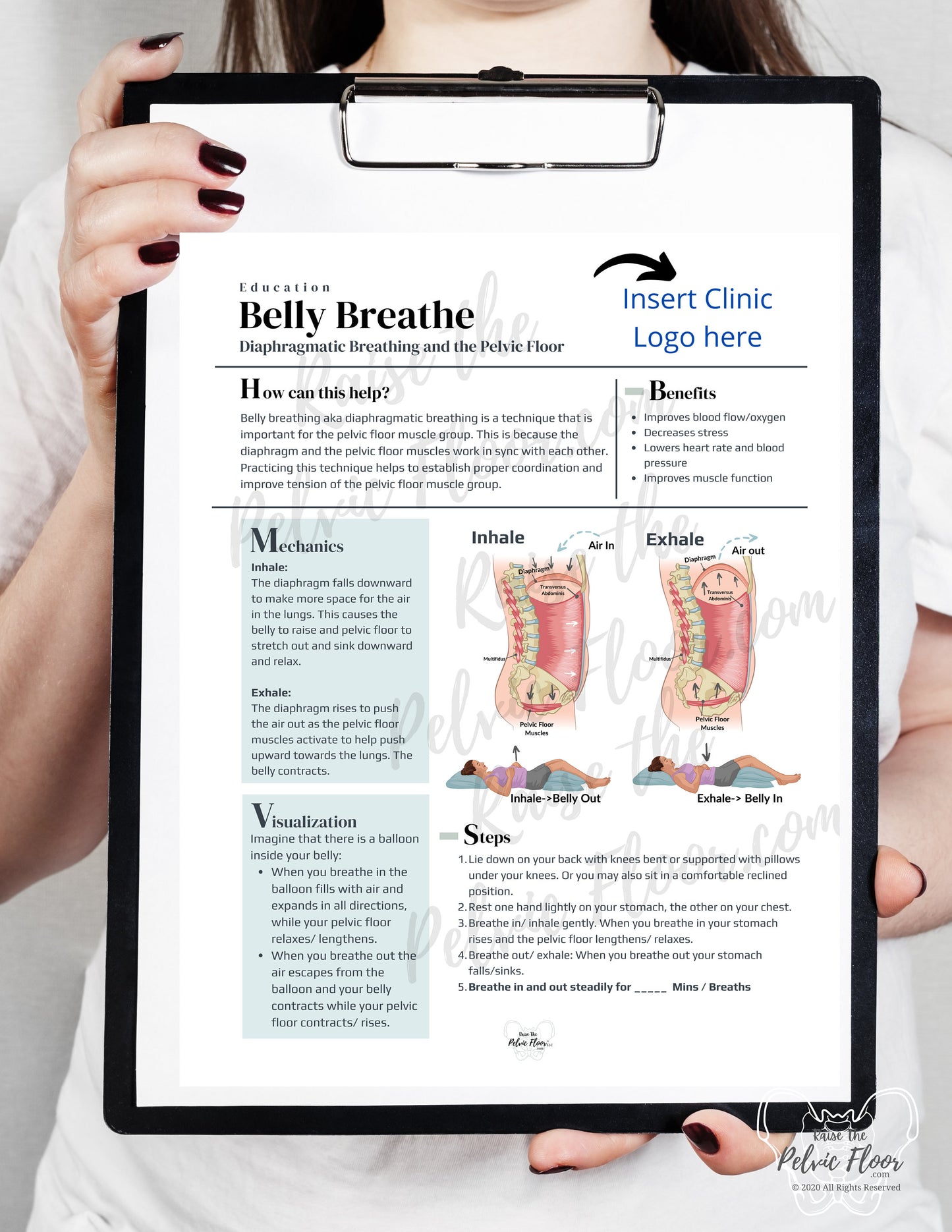 DIGITAL DOWNLOAD* Belly Breathing Steps Patient Education Handout | Diaphragmatic Breath Instructions 8.5 x11" Handout| Pelvic Floor Health