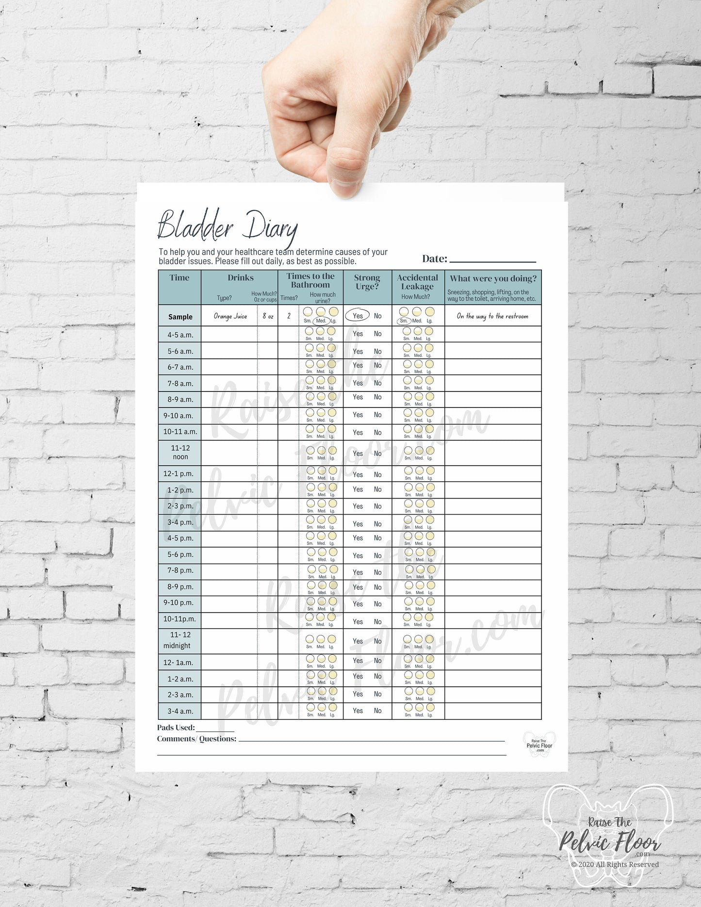 Bladder Diary Handout *DIGITAL DOWNLOAD* | Bladder Void Log Track | Patient flyer- tool for bladder leakage, irritants, timed voids