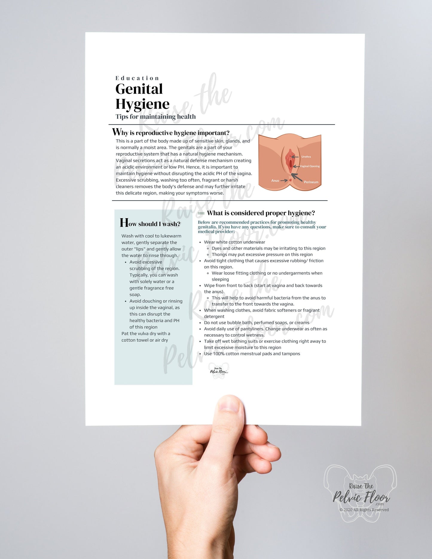 Digital Download- Reproductive/ Genital Hygiene and Vulvar Care Patient Handout | Pelvic Floor Physical Therapy Health, OBGYN, Nurse Midwife