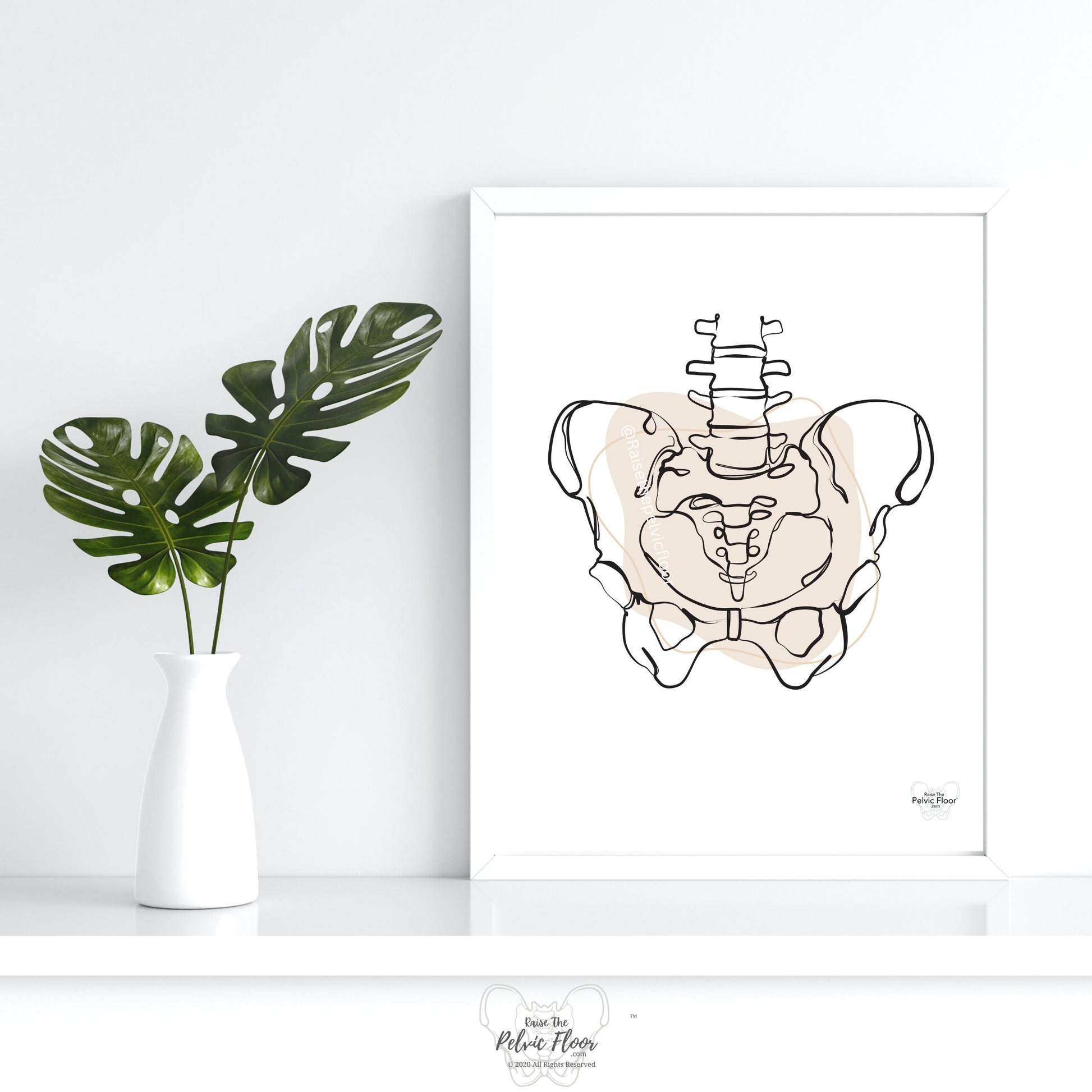 Pelvic Bones Art *Digital Download* Abstract Pelvis, Line art, Pelvic Floor Art, Medical Wall Minimalistic Anatomy Poster, Sacroiliac Joint